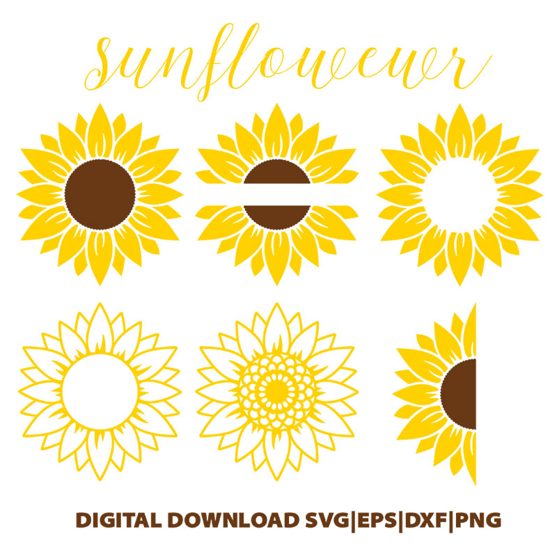 Sunflower SVG bundle Sunflower PNG